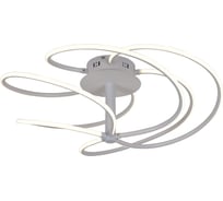 Потолочный светодиодный светильник F-promo 2380-5U