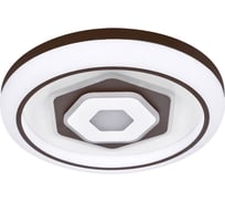 Потолочный светодиодный светильник F-promo 2456-5C