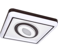Потолочный светодиодный светильник F-promo 2459-5C