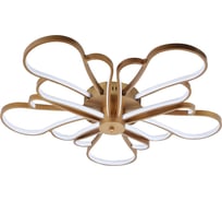 Потолочный светодиодный светильник F-promo 2548-5U