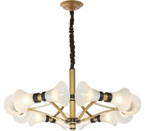 Подвесная люстра Favourite 2549-12P