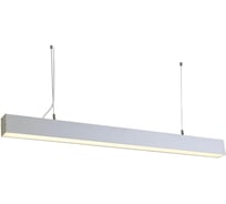 Подвесной светодиодный светильник Favourite 2071-24P