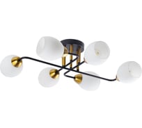 Потолочная люстра ARTE LAMP ANDREA A8141PL-6BK