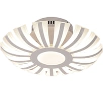 Потолочная светодиодная люстра Omnilux OML-02607-68