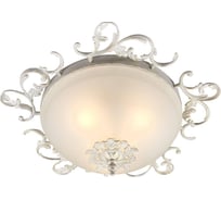 Потолочный светильник Omnilux OML-76417-03