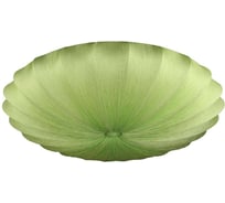 Потолочный светильник Omnilux OML-42217-08