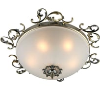 Потолочный светильник Omnilux OML-76507-05