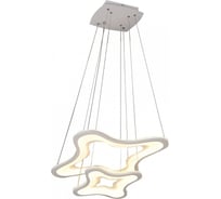 Подвесной светодиодный светильник Omnilux OML-02403-58