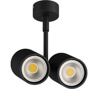 Потолочный светильник Lightstar 214447