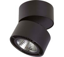 Потолочный светодиодный светильник Lightstar 214837