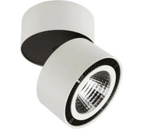Потолочный светодиодный светильник Lightstar 214830