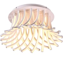 Потолочный светодиодный светильник Omnilux OML-44907-216