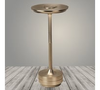 Настольная лампа РОСТОК 930150 серебро h280 2W LED 6000K, DIY23 988035372