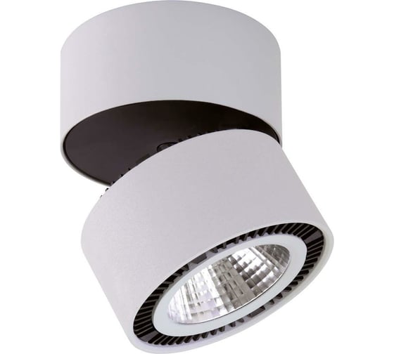 Потолочный светодиодный светильник Lightstar 214839