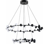 Подвесная люстра Arte Lamp DEXTER A3619SP-48BK