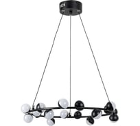 Подвесная люстра Arte Lamp DEXTER A3619SP-18BK