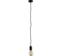 Подвесной светильник Arte Lamp FUORI A9184SP-1BK