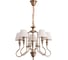 Подвесная люстра Arte Lamp AGIO A6086LM-5PB 1