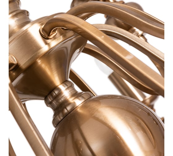 Подвесная люстра Arte Lamp PASSONI A6097LM-12PB