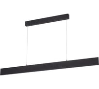 Подвесной светильники Arte Lamp LARGO A2505SP-2BK