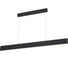 Подвесной светильники Arte Lamp LARGO A2505SP-2BK 1