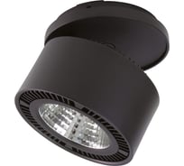 Встраиваемый спот Lightstar 213827