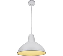 Светильник подвесной ЭЛЕТЕХ Ретро 300 белый НСБ 01-60-196 1005405417