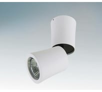 Спот Lightstar 214456