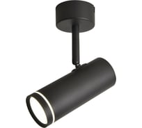 Спот Omnilux OML-102209-12