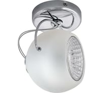 Спот Lightstar 110514