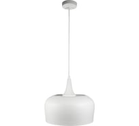 Светильник подвесной ЭЛЕТЕХ Эстет 5501 бел. муар. 300 НСБ 01-60-196 1005405433