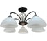 Люстра JUPITER LIGHTING N01-1702/5 черн-5*60W E27 230V,33-57-57 N01-1702 1