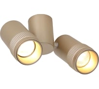 Спот Favourite 2455-2U