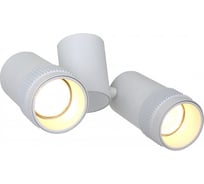 Спот Favourite 2453-2U
