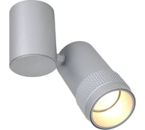 Спот Favourite 2454-1U
