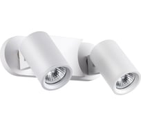 Накладной светильник NOVOTECH 2*50W GUSTO 370651