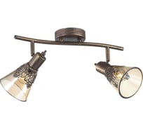 Спот Favourite 1795-2U