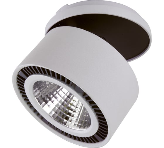 Встраиваемый спот Lightstar 213820