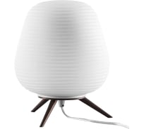 Настольная лампа Lightstar 805911