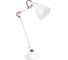 Настольная лампа Lightstar 865916 1