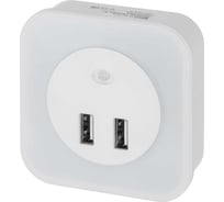 Ночник TDM ELECTRIC "Комбо 3", 8LED, 80 лм, датчик освещения, 2 хUSB 2,1 А, 220 В, SQ0357-0038
