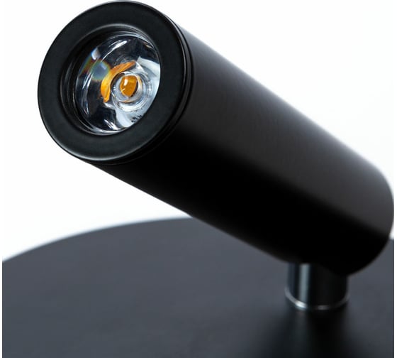 Настенный светильник Arte Lamp ELECTRA A8232AP-1BK