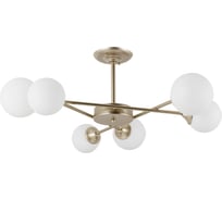 Потолочная люстра Arte Lamp MARCO A2703PL-6SG