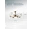 Потолочная люстра Arte Lamp MARCO A2703PL-8SG 3