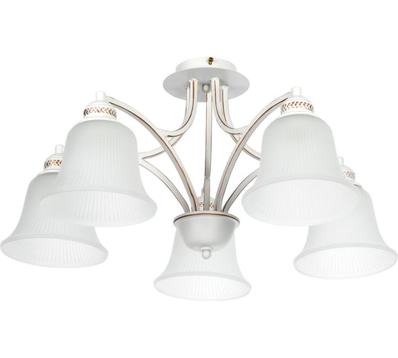 Потолочная люстра Arte Lamp EMMA A2713PL-5WG 1