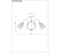 Потолочная люстра Arte Lamp NICOLE A2702PL-8AB 5