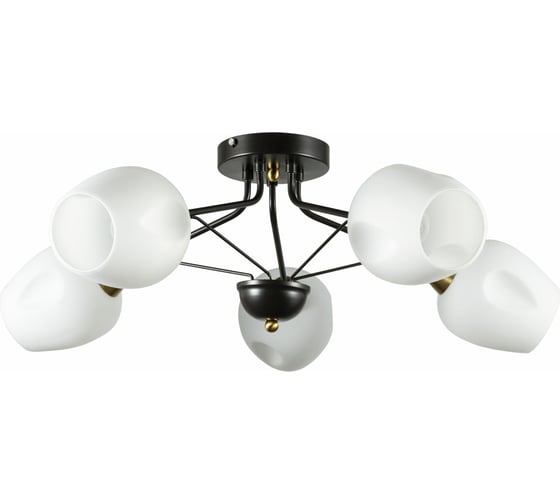 Потолочная люстра Arte Lamp BRIGHTON A2706PL-5CK 1
