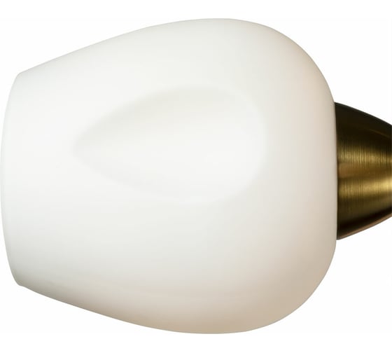 Потолочная люстра Arte Lamp BRIGHTON A2706PL-5CK