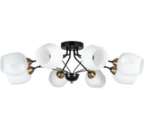 Потолочная люстра Arte Lamp BRIGHTON A2706PL-8CK