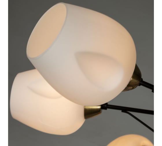 Потолочная люстра Arte Lamp BRIGHTON A2706PL-8CK